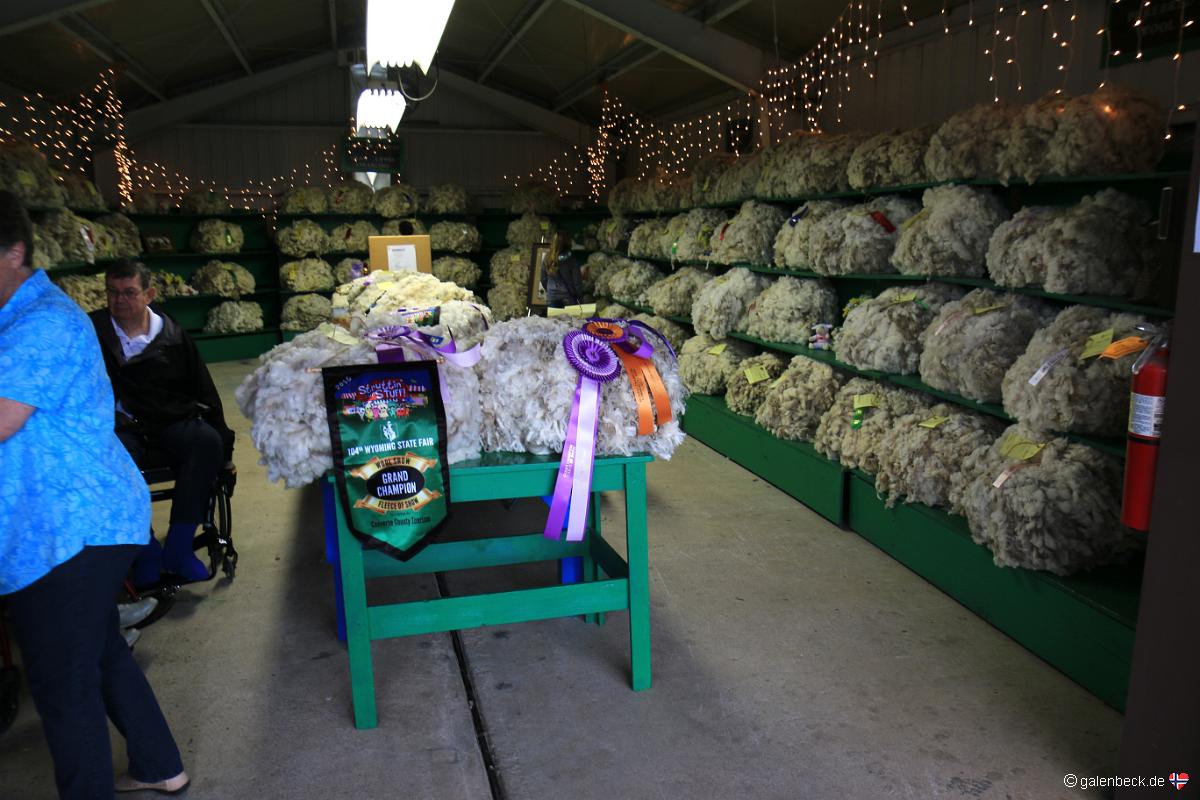 Wyoming State Fair 2016