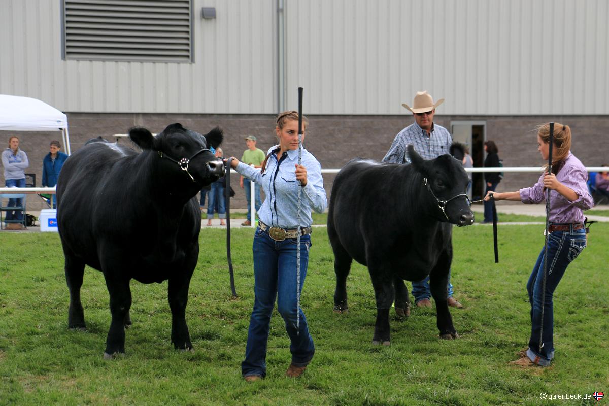Wyoming State Fair 2016