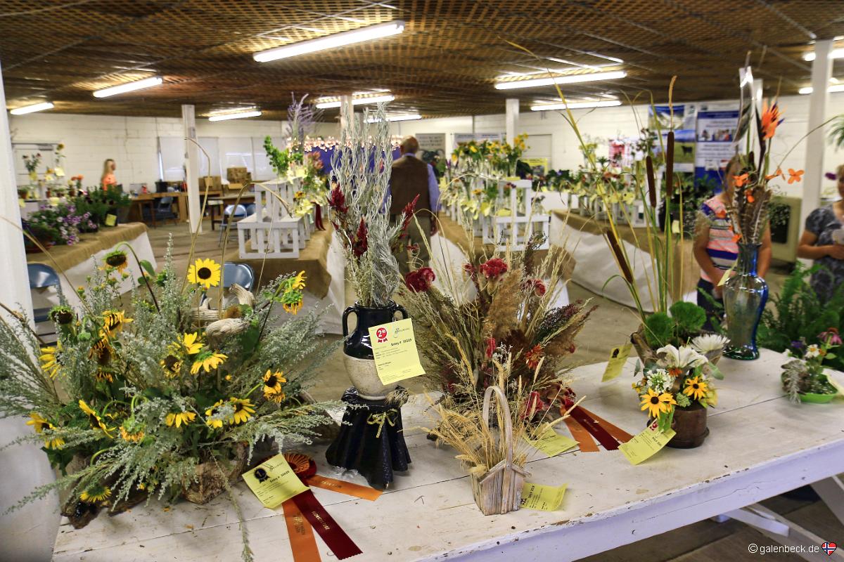 Wyoming State Fair 2016