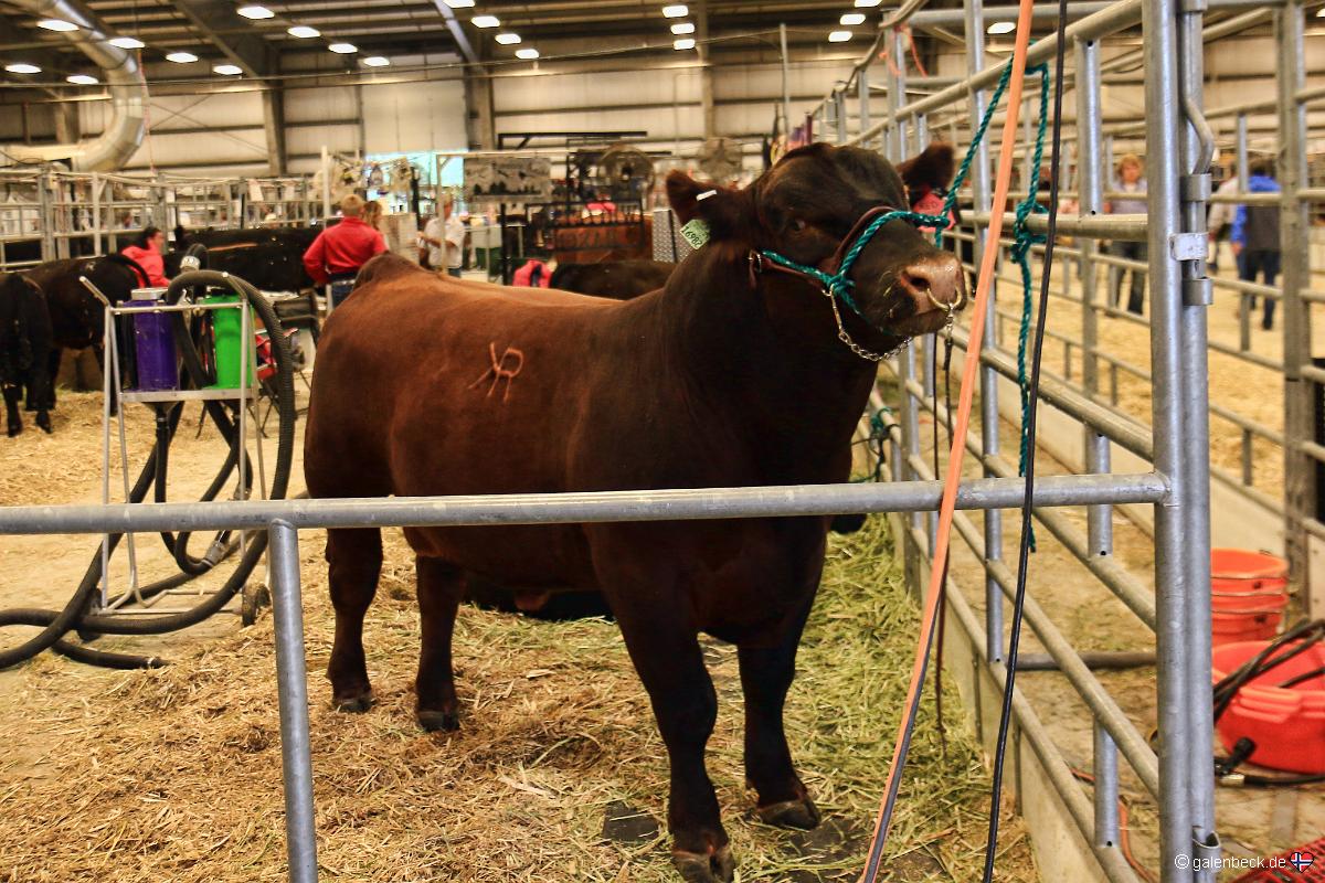 Wyoming State Fair 2016