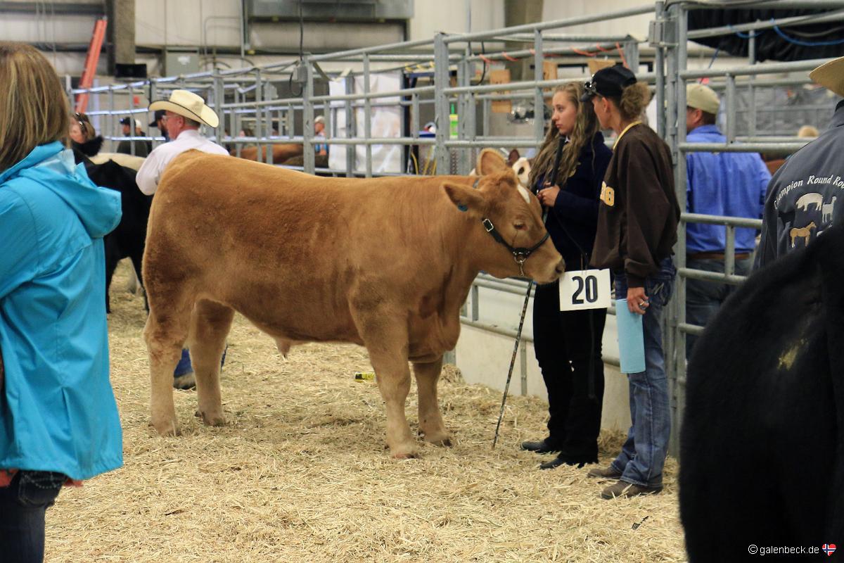 Wyoming State Fair 2016