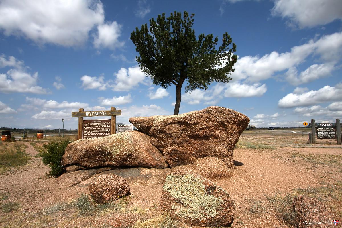 Tree Rock