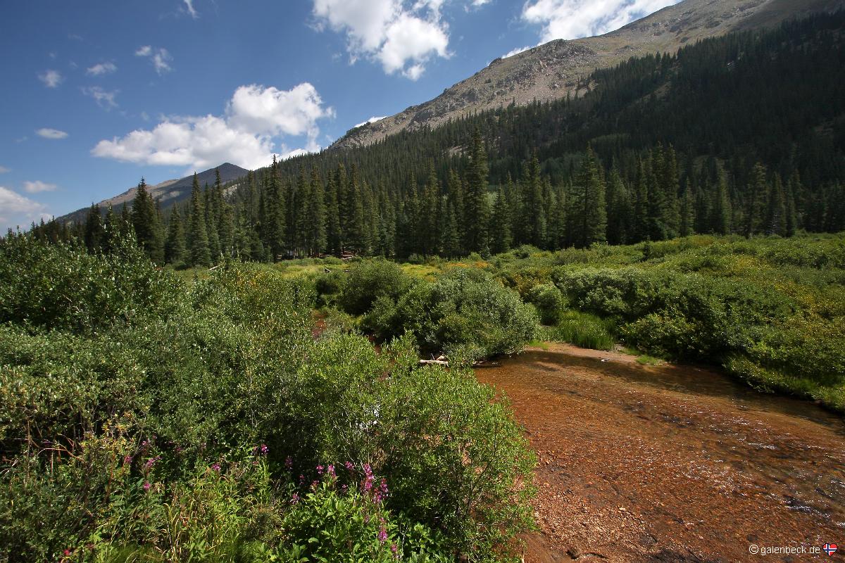 Guanella Pass