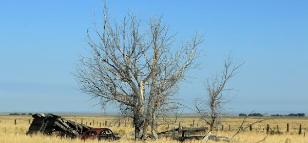 Eden WY