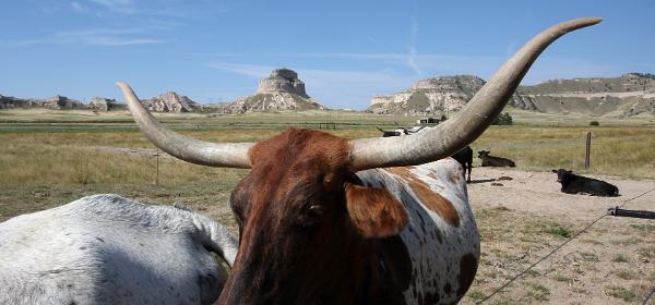 Farm & Ranch Museum