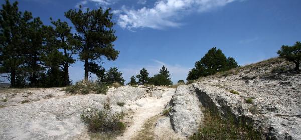 Oregon Trail Ruts