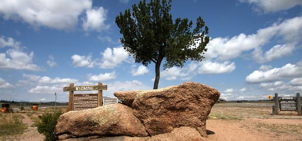 Tree Rock