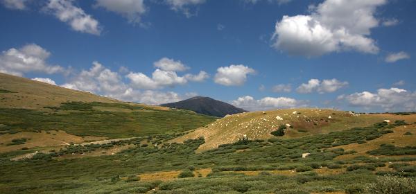 Guanella Pass