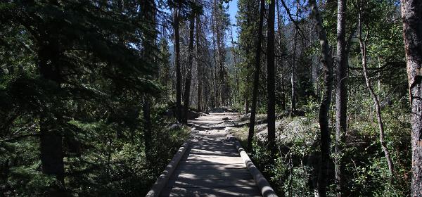 Adams Falls