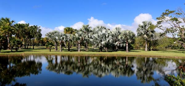 Florida USA Februar 2014